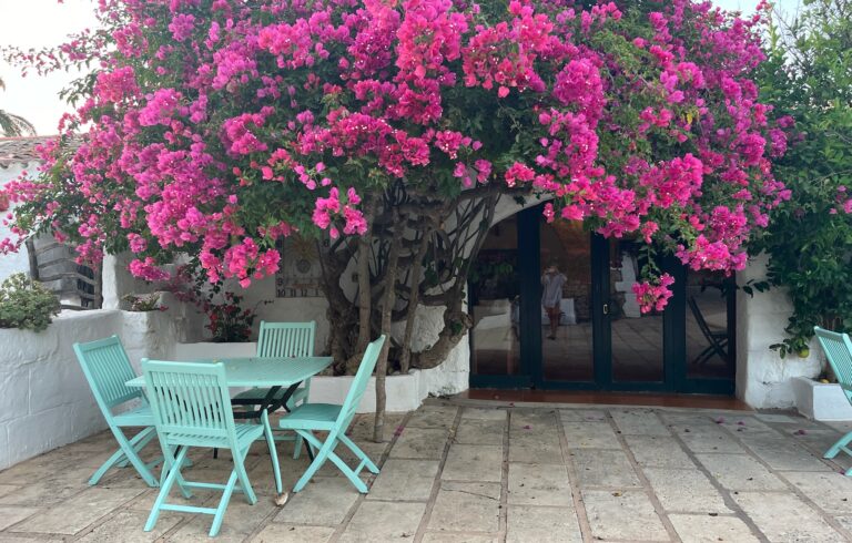 Dónde Dormir en Menorca: 3 Alojamientos con Encanto (para Familias y Parejas)