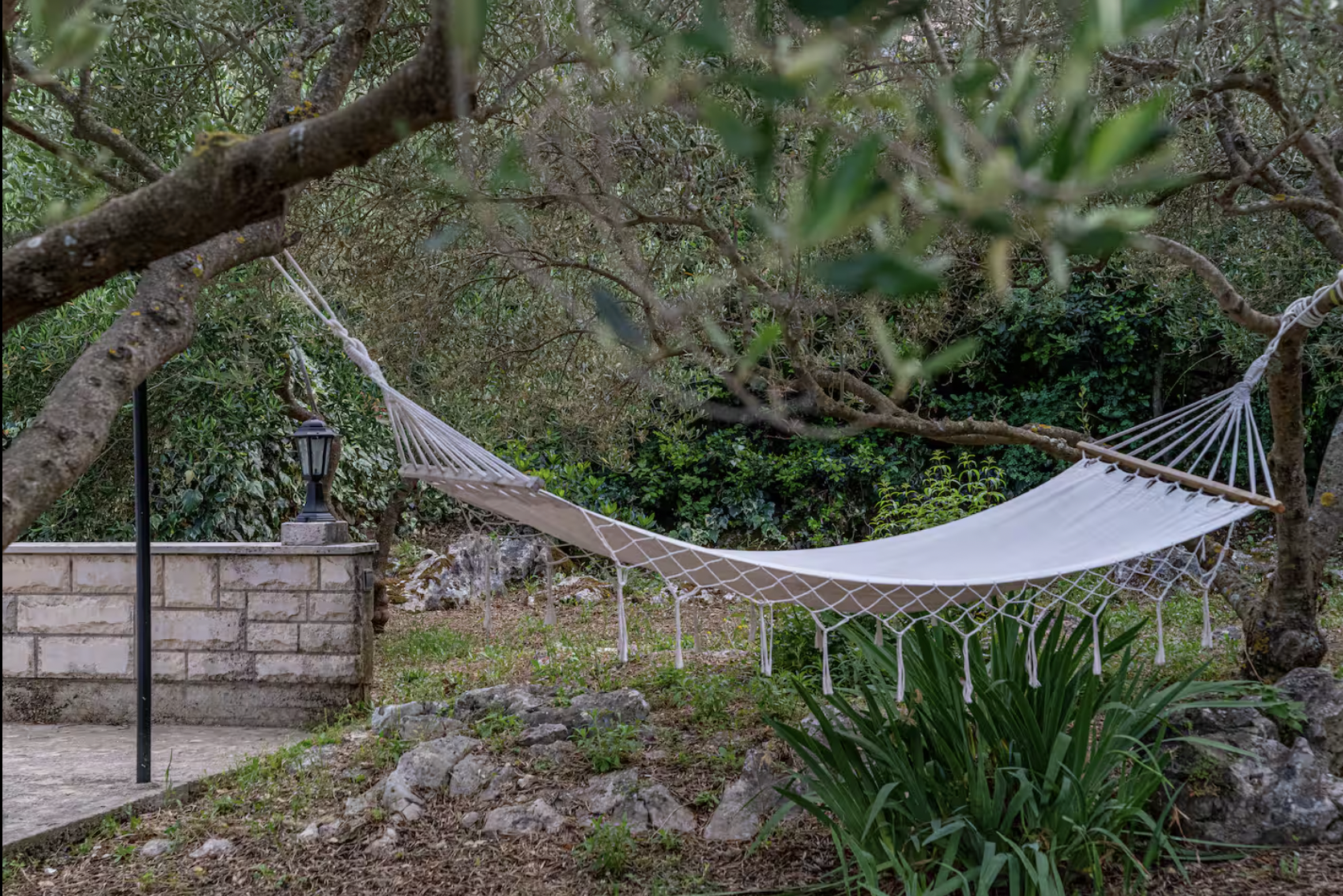 Captura de Pantalla 2026-02-11 a las 15.13.23