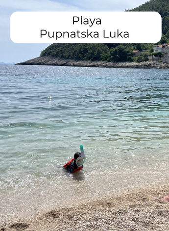 Copia de Copia de fotos de guias web 13