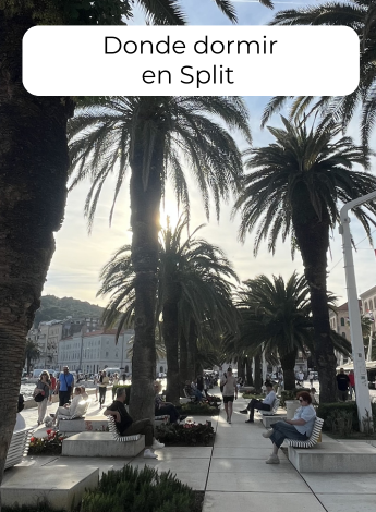 Copia de fotos de guias web 1