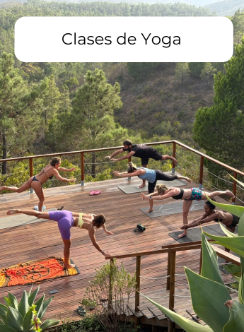 Copia de Copia de fotos de guias web 9