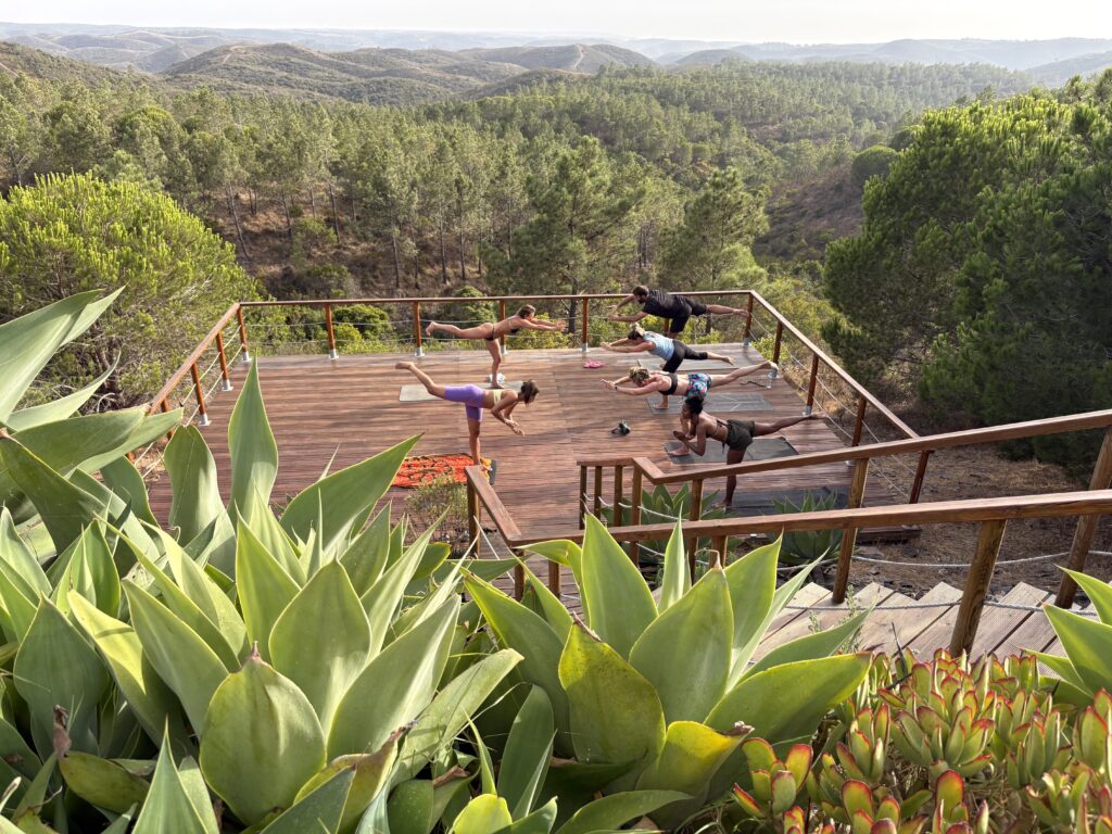alt="Sesión de yoga grupal en el deck de madera rodeado de pinos."