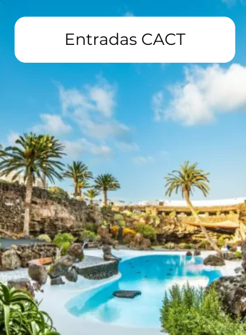 Entradas CACT lanzarote