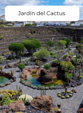 museo del cactus lanzarote